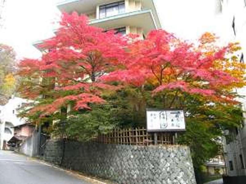 Yokotekan Shibukawa Exteriér fotografie
